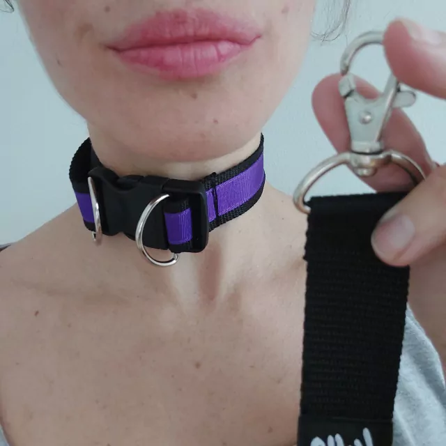 Choker Pet + Correa