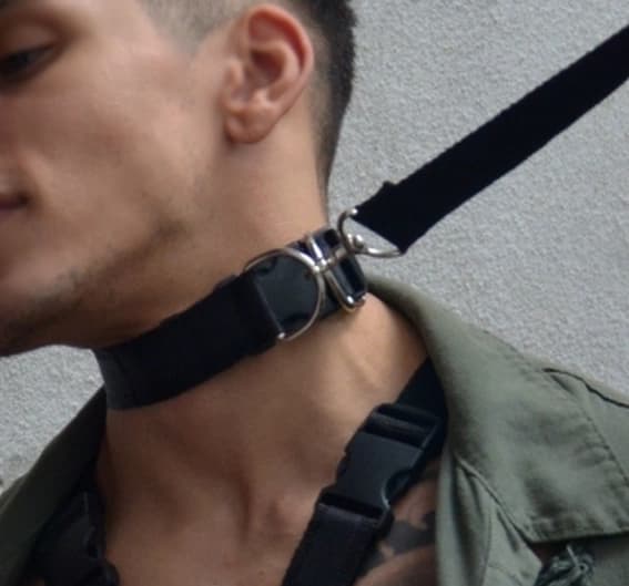 Choker Pet + Correa
